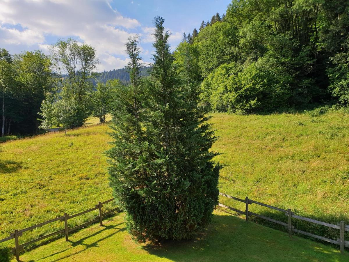 Le Bois Joli Chalet 4 Etoiles Cledicihome Cadre Paisible En Lisiere De Foret Жерарме Экстерьер фото