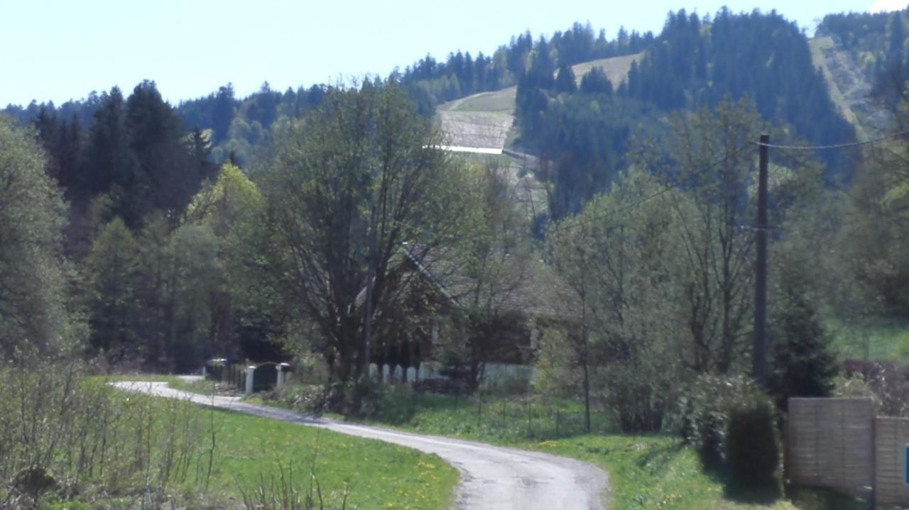 Le Bois Joli Chalet 4 Etoiles Cledicihome Cadre Paisible En Lisiere De Foret Жерарме Экстерьер фото