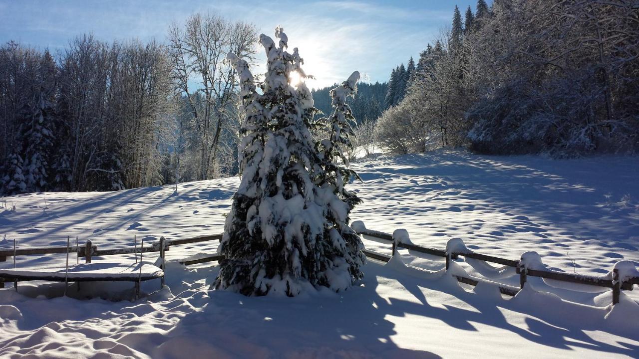 Le Bois Joli Chalet 4 Etoiles Cledicihome Cadre Paisible En Lisiere De Foret Жерарме Экстерьер фото