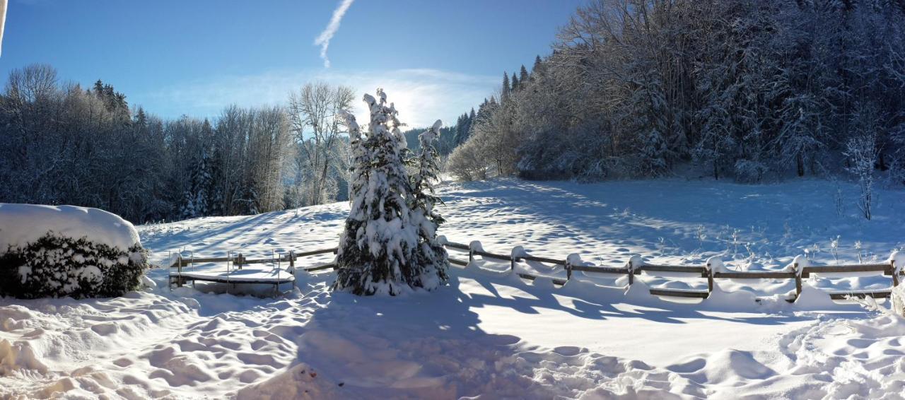 Le Bois Joli Chalet 4 Etoiles Cledicihome Cadre Paisible En Lisiere De Foret Жерарме Экстерьер фото